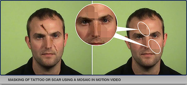 Facial Mark Masking